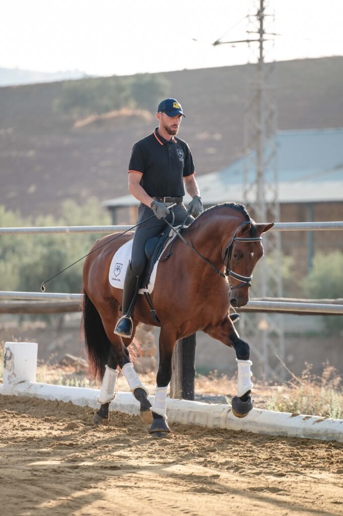 Caballo de capa especial albina montado, destacando su belleza y nivel de doma.