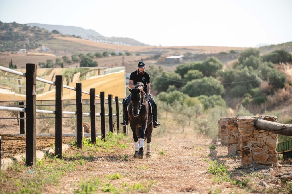 Potro joven de 3 años montado, mostrando facilidad de manejo y aprendizaje rápido.