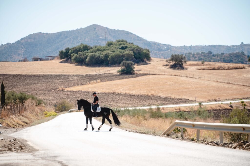 Ejemplar de la yeguada montado en exterior, demostrando nobleza y seguridad en el campo.
